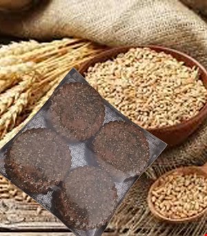 بیسکوییت جوین موهبت