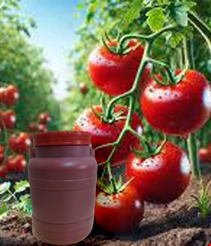 رب گوجه فرنگی موهبت